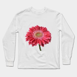 Pink Gerbera Long Sleeve T-Shirt